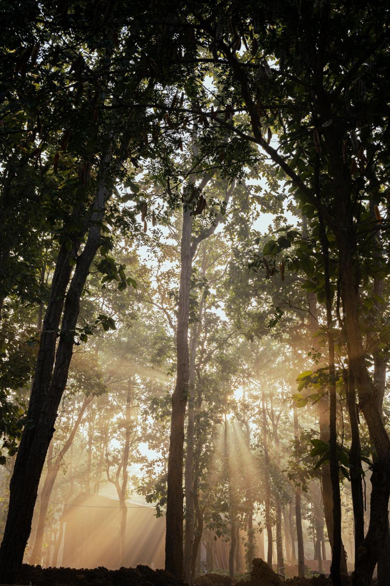 Hotel Sonar Bangla Joypur Forest Eksteriør billede